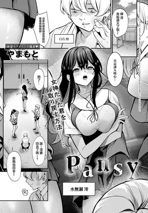 [やまもと]Pansy