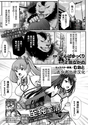 [Denpa Yukkuri] Mahou Shoujo MagiPure ~NTR Choukyou ni Ochiru W Mahou Shoujo~ THE COMIC Ch. 1-11 [Chinese] [逃亡者×真不可视汉化组] [Digital]